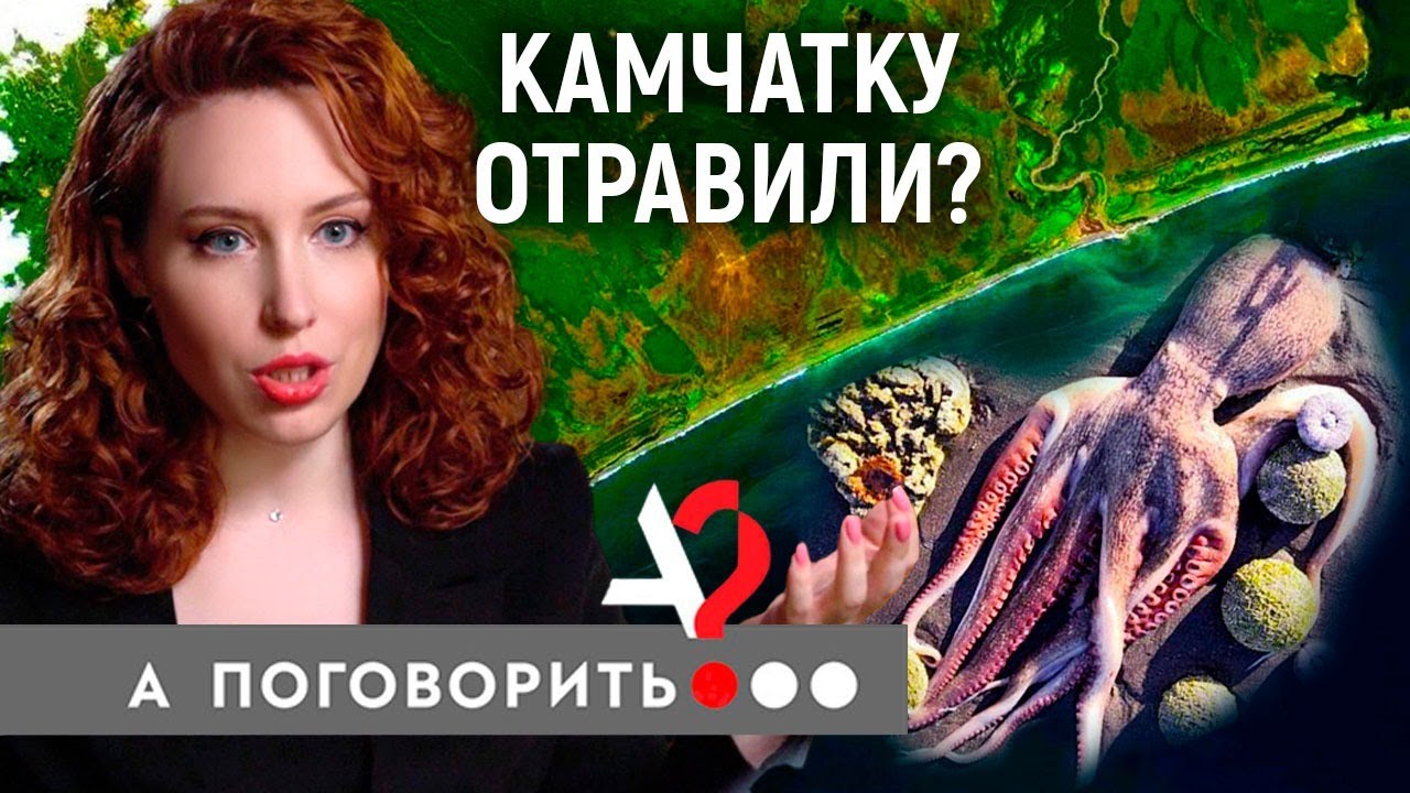 Камчатку отравили? Экологическая катастрофа в Тихом Океане | А поговорить?